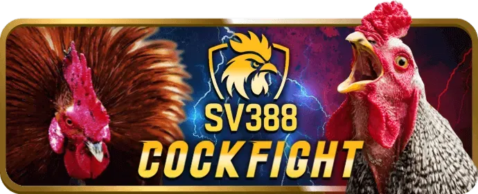 Thưởng nạp lại hàng ngày Onebet